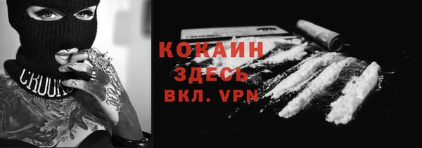 гидра Алексеевка