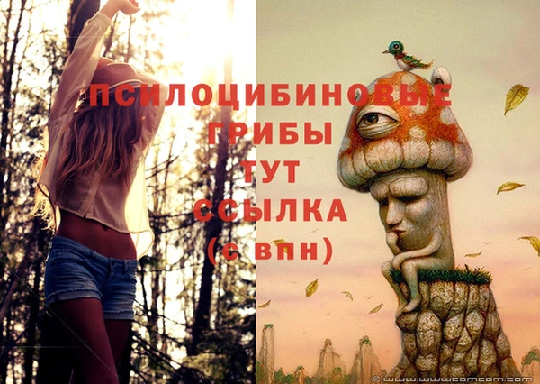 МДМА Абаза