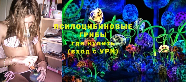 метадон Алексин