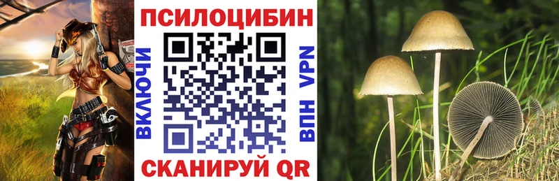 Псилоцибиновые грибы прущие грибы  купить  цена  Красновишерск 